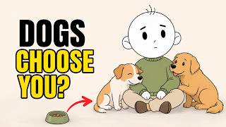 If Dogs Are Naturally Drawn to You You Might Have This Rare Quality