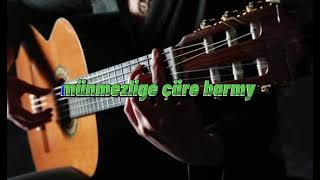 çäre barmy . gitar