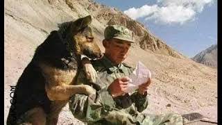 Asker Mektup U Komik