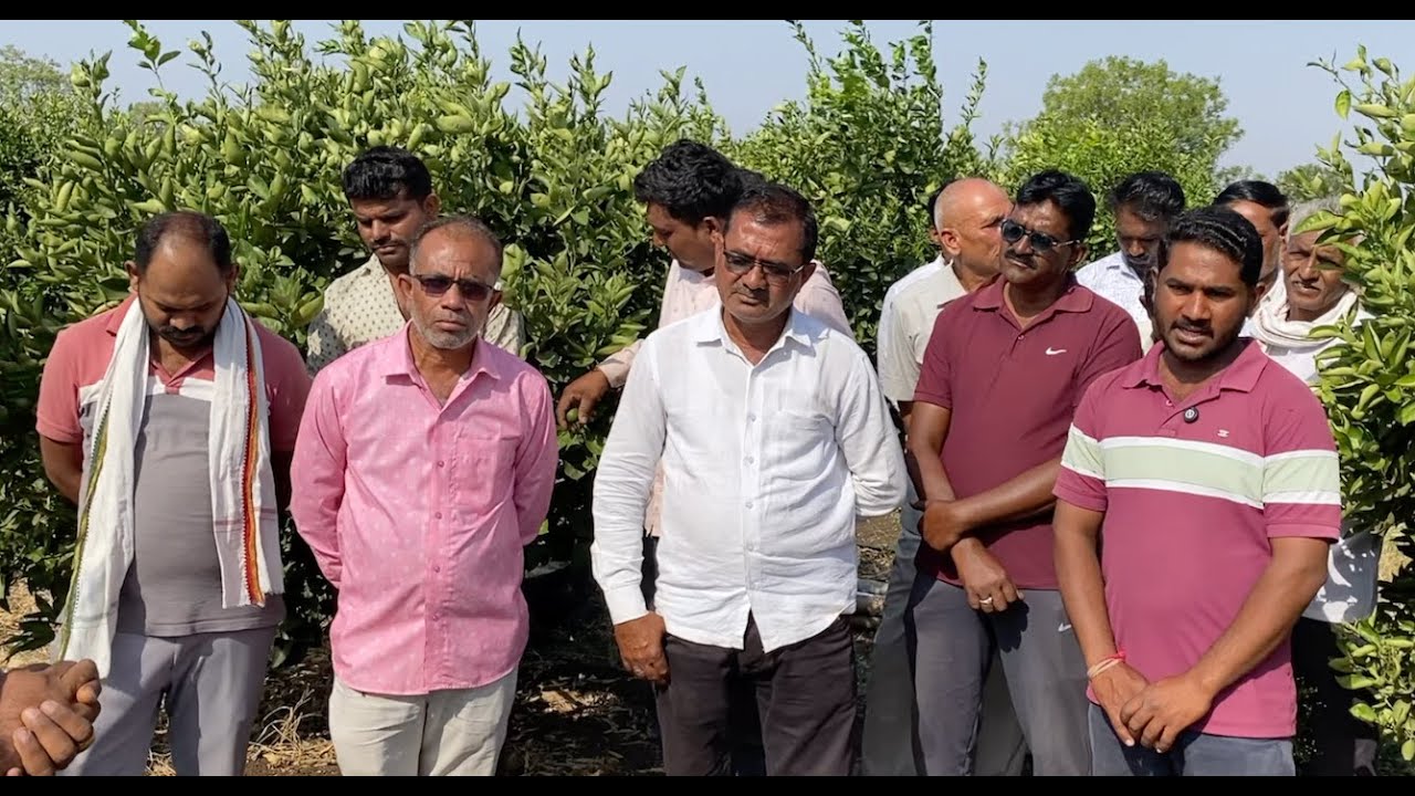 एकमेव बांदावर येणारे देव राम सर, सांगितलं 30 वर्ष बाग टिकवायचं रहस्य.80 रुपयातभरघोस माल, मजबूत खोड