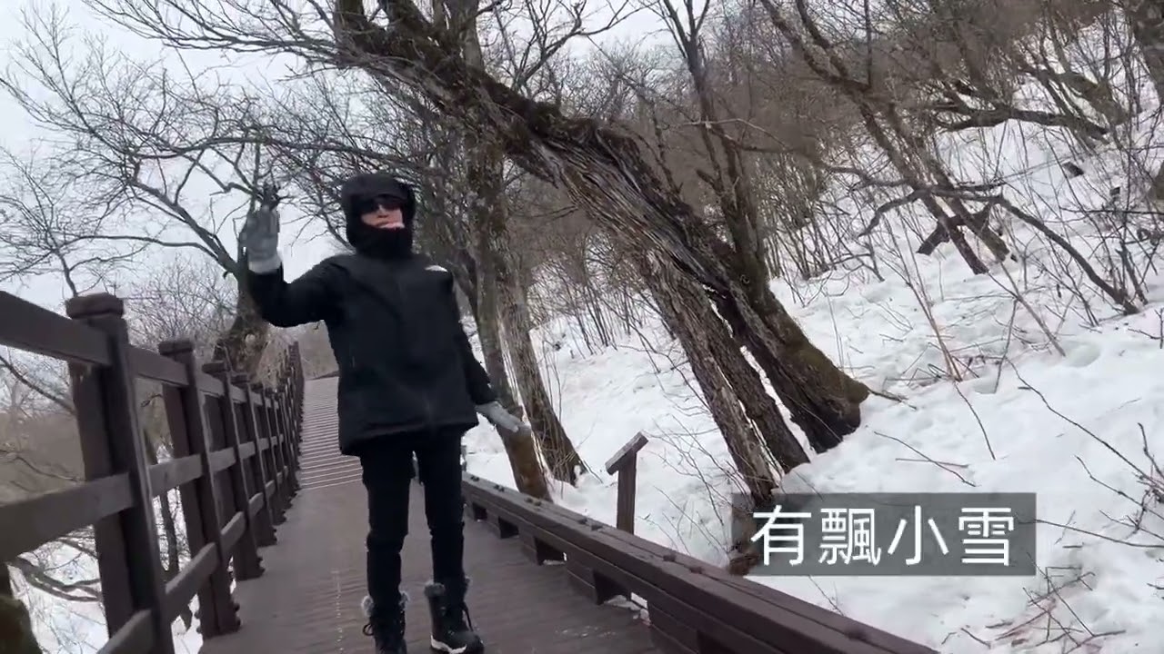 2026 平昌滑雪場-纜車上發王山頂