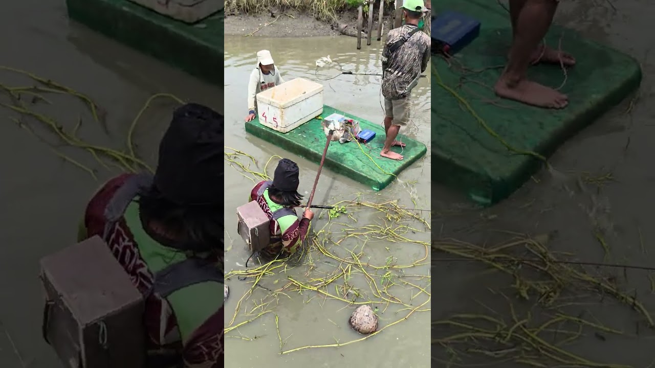 Amazing skill. #fishing #fish