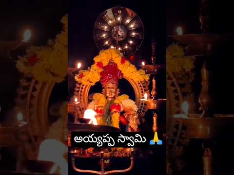 Sharanam Ayyappa🙏#ayyappa #god #devotional #temple #lord #shorts #trending #youtubeshorts#viralvideo