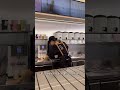 LEHEHE Automatic Milk Tea Machine #milktea #bobatea #heytea