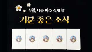 [타로] 지금 당신에게 보이는 4월 이야기