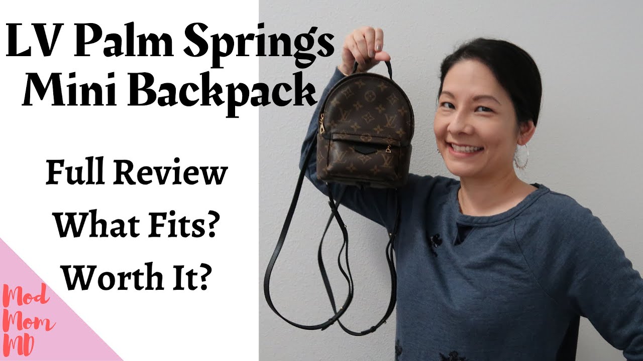 LOUIS VUITTON PALM SPRINGS MINI BACKPACK WORTH IT?, Review, Wear and Tear, What Fits