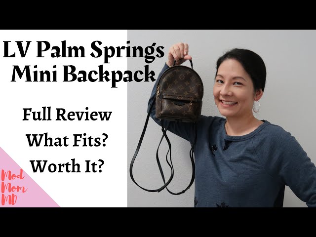 LOUIS VUITTON PALM SPRINGS MINI BACKPACK WORTH IT?, Review, Wear and Tear, What Fits