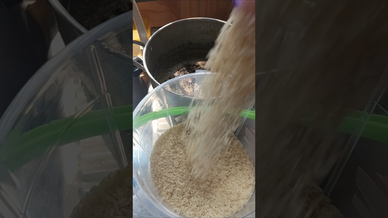 Have you tried Nigerian local rice for street food?