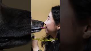 Danger Dog Licks May Contain Superbacteria 
