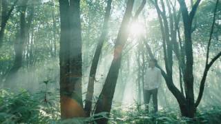 20170401Officialgoing To The Forest Lee Min Ho Innisfree New Forest Series For Men Tvcf 30Sec