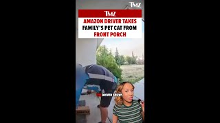 Amazon driver in West Bakersfield is under investigation after appearing to take cat