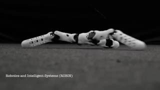 3D Printed Robots Teach Themselves to Move