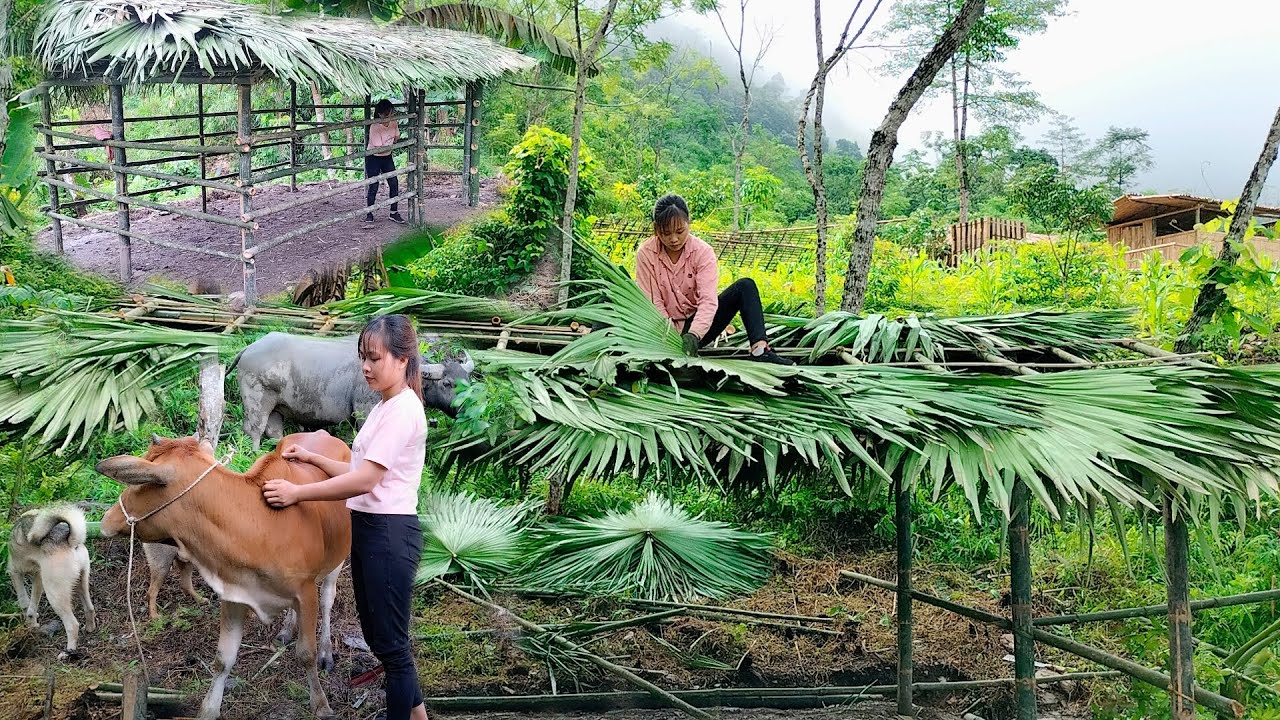 Building a peaceful life - peace of mind / Living with nature. Episode 36