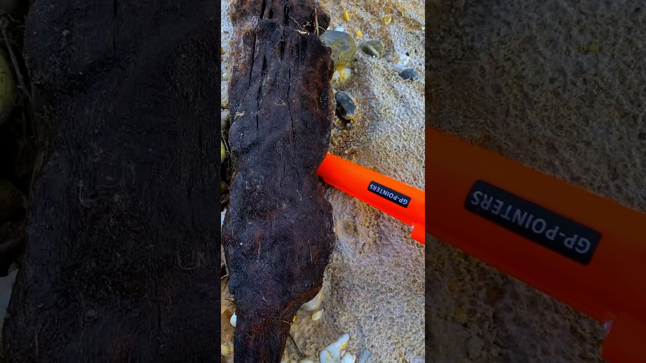 discovery of materials containing precious metals or gold