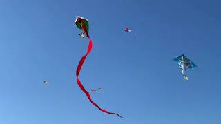 #patangbazi #tawa #kite  Flying Different Beautiful Kite Videos ....