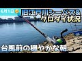 旧江戸川シーバス&クロダイ状態
