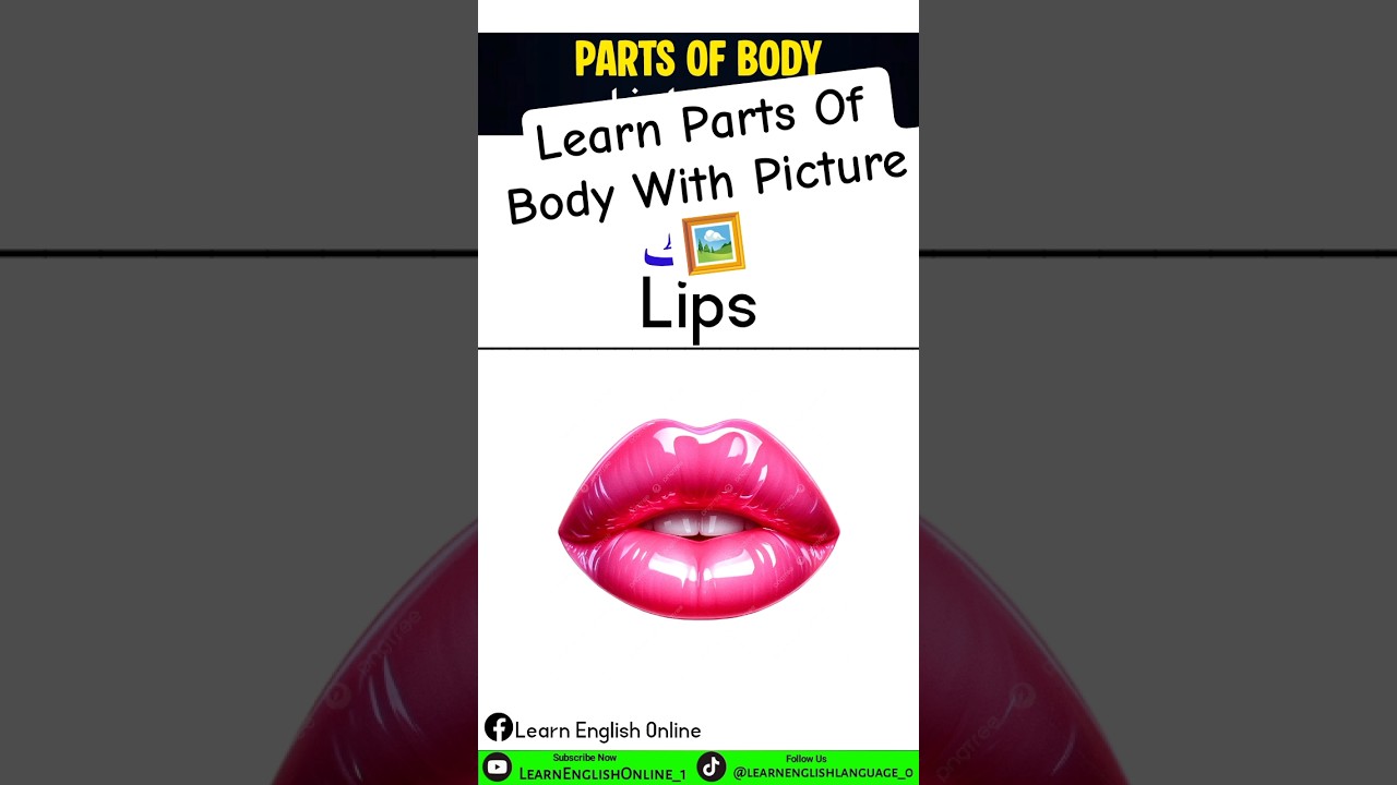Learn Parts Of Body With Picture 🖼️  👅👁️ 