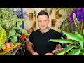 WHERE IS YOUR ENERGY BLOCKED & What To Focus On | Horoscope Tarot - All Zodiac Signs