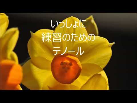 木下牧子　「光と風をつれて」より　１．いっしょに　テノール