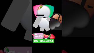 Cat Da Malucat