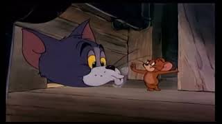 Boomerang Pet Of The Week July 6-10 Promo 30 2015