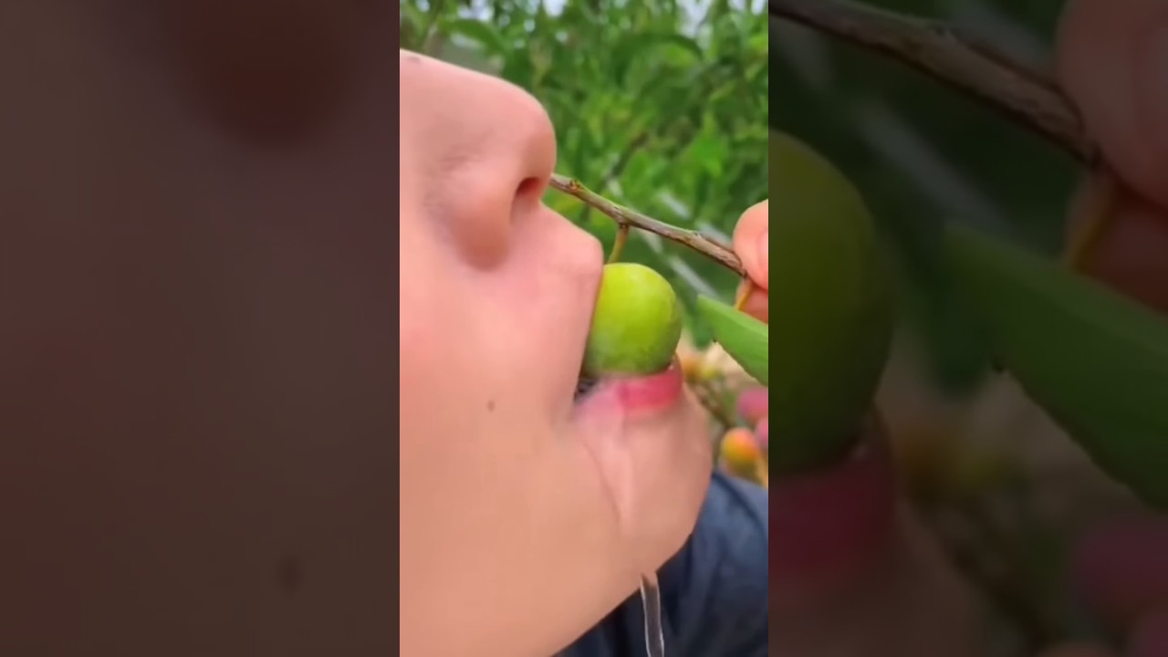 Ăn Hồng Mà Xuýt Chết Đuối | Thái Chuối#shorts🍋🍋🍋