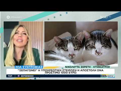 Ζώα συντροφιάς: Ξεπαγώνει