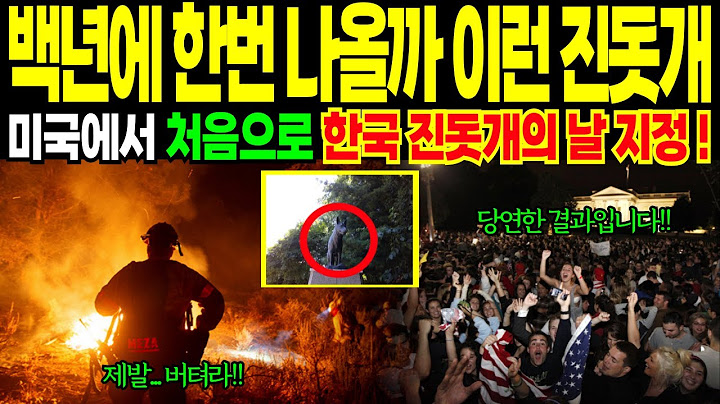 [해외감동사연] 백년에 한번 나올까 이런 진돗개, 미국에서 처음으로 한국 진돗개의 날 지정!