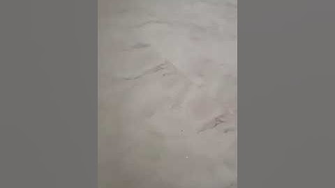 تلاوه خاشعه تشبه تلاوه الشيخ ناصر القطامي