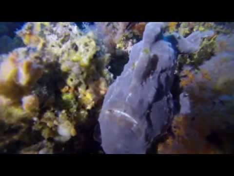 3 Sisters, Padar - Komodo