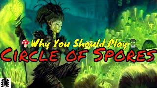 Why You Should Play Circle of Spores Druid Why You Should Play Circle of Spores Druid