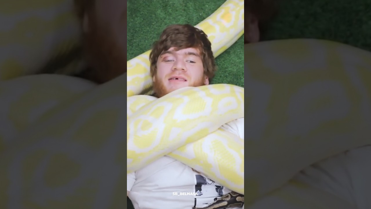 Shara Bullet vs  Snakes 🐍🥊 