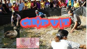 Cười Lộn Ruột với Màn Bịt Mắt Bắt Vịt Năm 2019