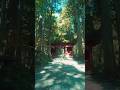 まるで異世界の入り口👹🌲 戸隠神社