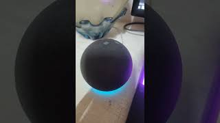 Agregando Alarmas Por Voz Con Alexa En Cuba