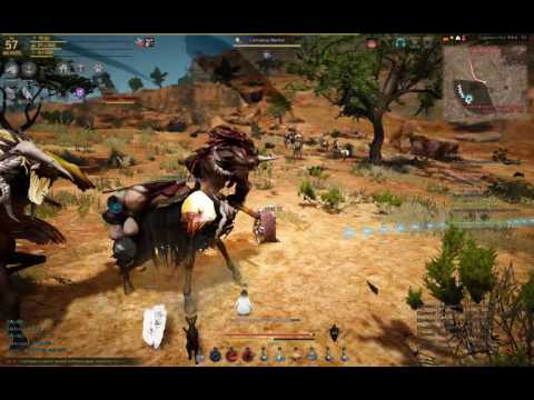 Black Desert JP