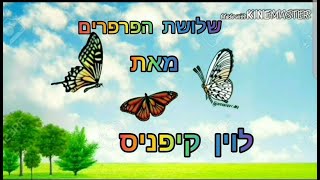 דקה של סיפור: שלושת הפרפרים מאת לוין קיפניס