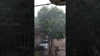 Flood In Shiraz Farvardin 1398