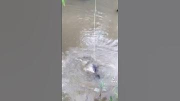 Ký ức ngày xưa bữa cơm chiều đạm bạc