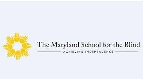 CVI Assessments: CVI Range and FVA Practices