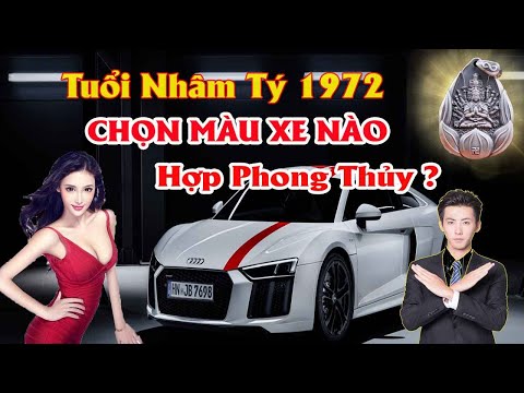 Nữ Sinh Năm 1972 Hợp Xe Màu Gì - Người Tuổi Nhâm Tý Sinh Năm 1972  Nên Chọn Màu Xem Gì ,Ý Nghĩa Màu Xe Đối Với Chủ Xe Như Thế Nào ?