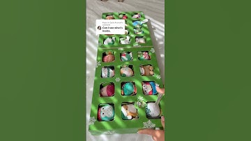 Inside of Squishmallow advent calendar 2025