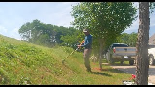 Transforming another waist high, overgrown Code Violation Yard