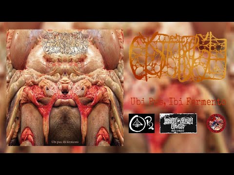 Cystgurgle — CYSTGURGLE - Ubi Pus, Ibi Fermento [Full Album] (Goregrind/Gorenoise)