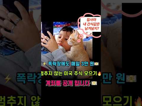 🔥 일주일 만에 수익률 반토막? 📉😱 대폭락 장에도 멈추지 않는 미국 주식 매일 3만 원 모으기! #shorts #미국주식 #적립식투자