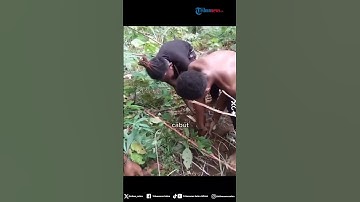 Awalnya Pede Hendak Unjuk Kemampuan Cabut Singkong, Ujungnya Malah Minta Maaf