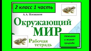 Окружающий мир 2 класс. Неживая и живая природа. Рабочая тетрадь