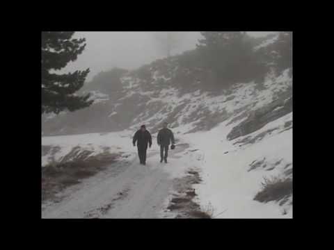 ΔΙΛΟΦΟ ΒΟΪΟΥ -ΣΤΟΝ