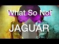 Capture de la vidéo What So Not - Jaguar (Official Music Video)