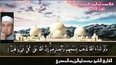 تلاوة ماتعه للشيخ محمدابواليزيدالمصري وما تيسر من فاتحة الكتاب وأول سورة البقرة